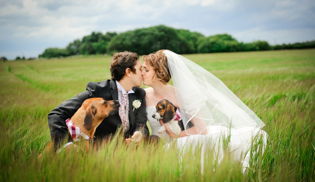 The Equestrian Bride