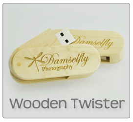 Wooden Twister USB