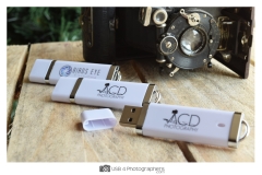 Dixie - 2 - USB - Drive - USB 4 Photographers